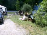 kb08-20080809151431si.jpg