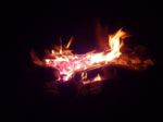 kb09-20090801012341si.jpg