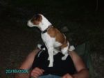 kb09-20090801205235ka.jpg