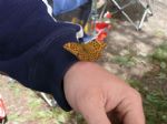 kb09-20090802142032si.jpg