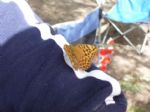 kb09-20090802142040si.jpg